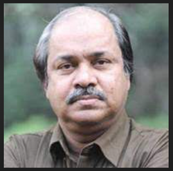 হাসান হাফিজ