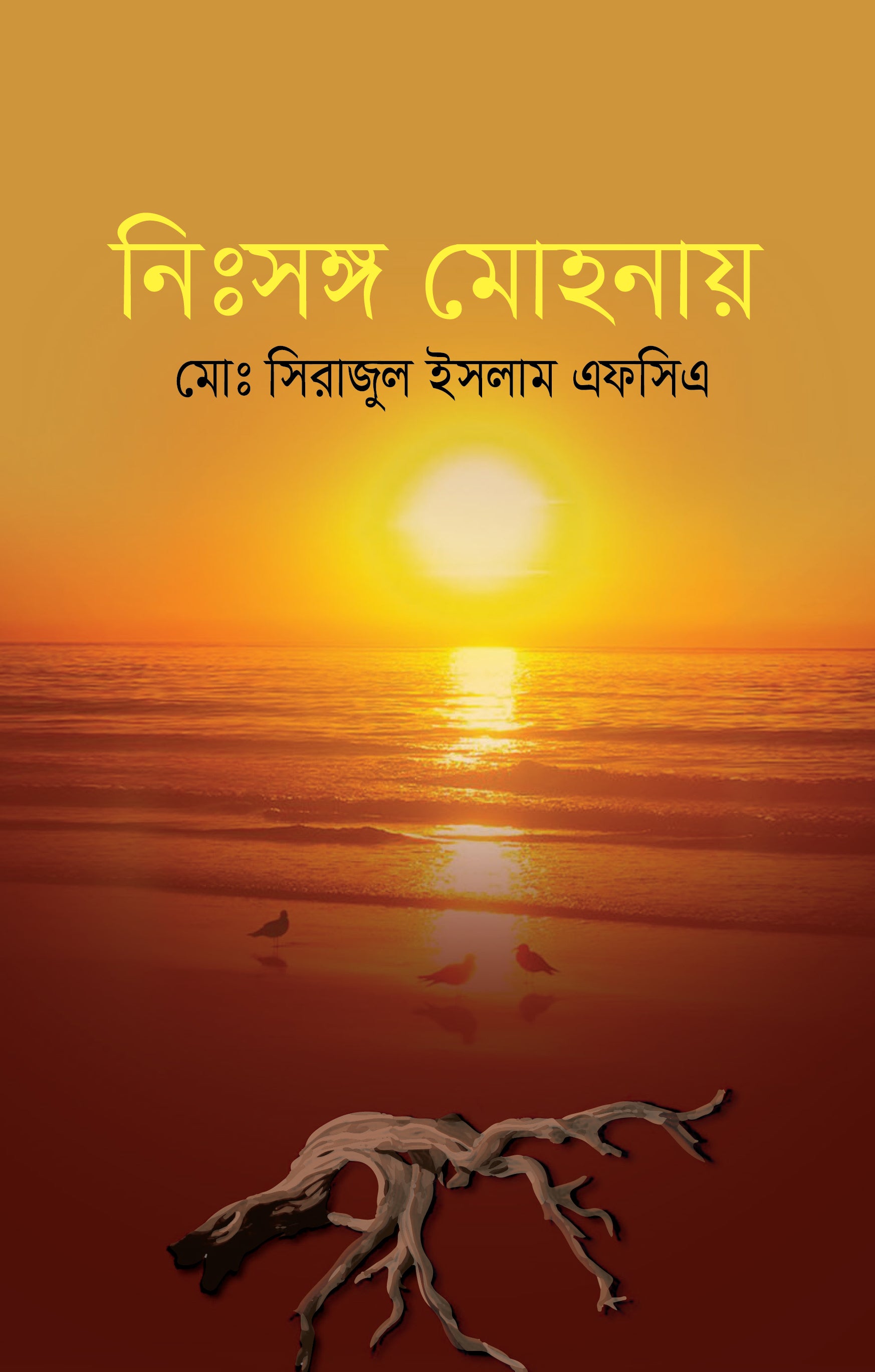 নিঃসঙ্গ মোহনায়