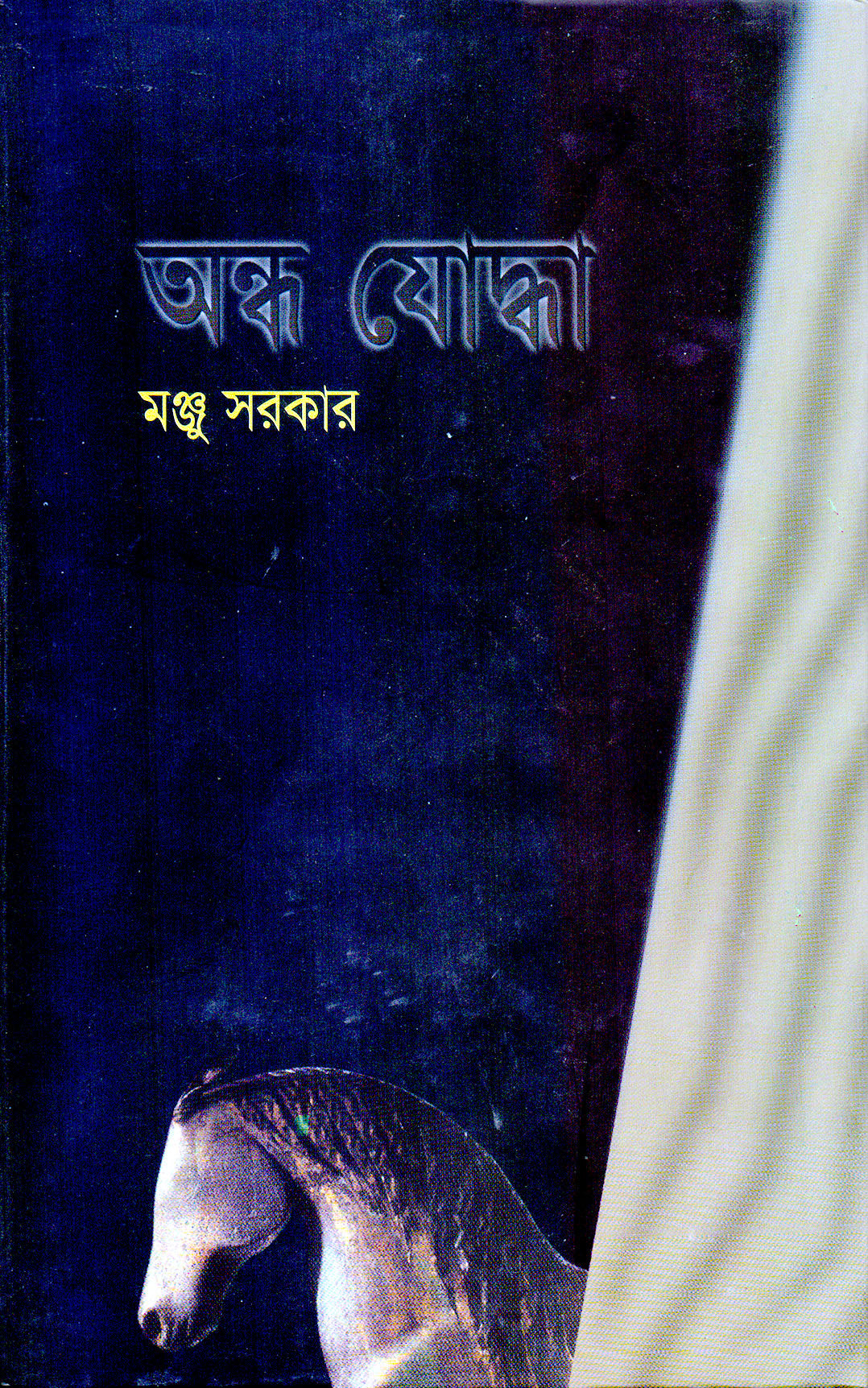 অন্ধ যোদ্ধা