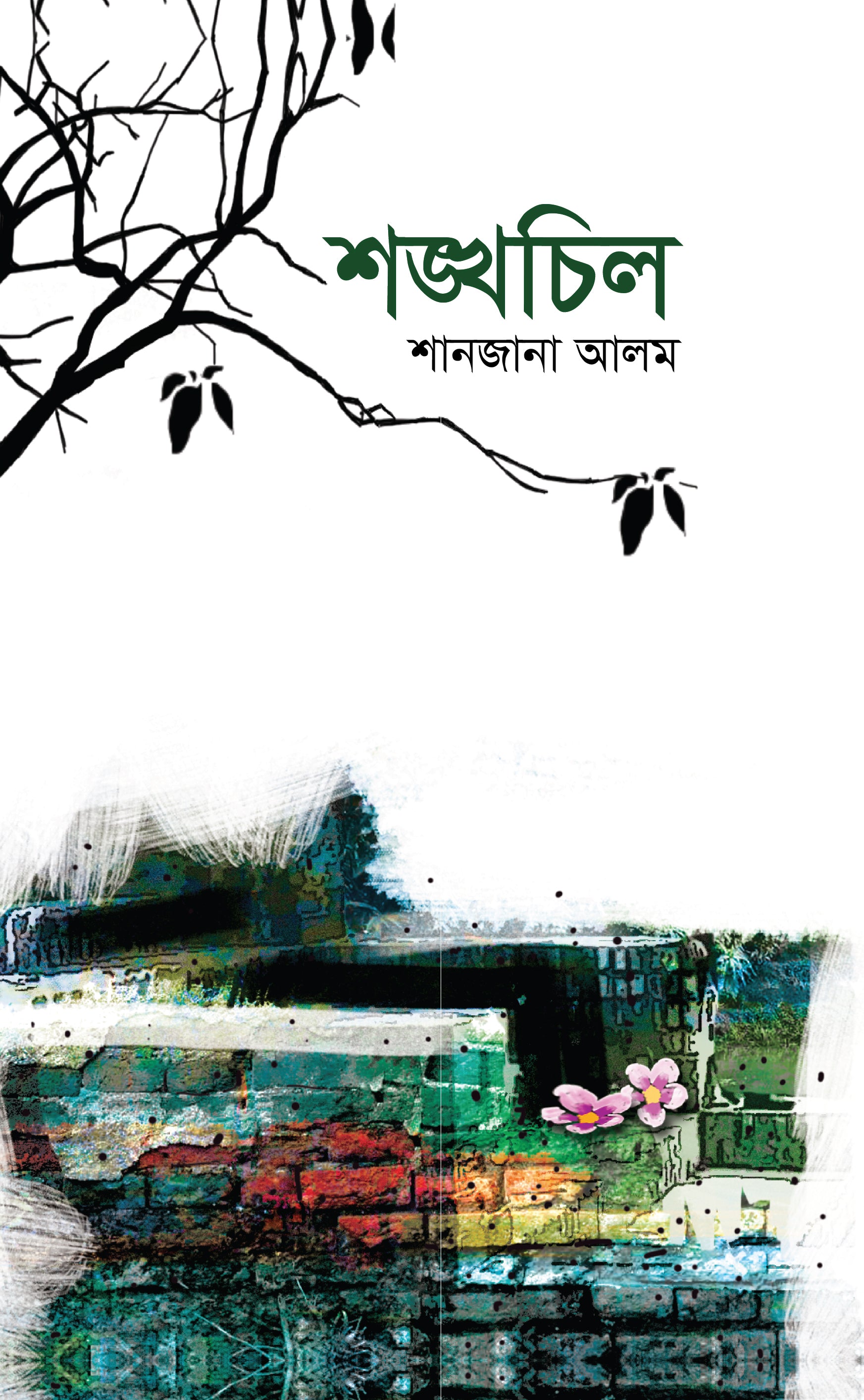 শঙ্খচিল (Shankhacil)