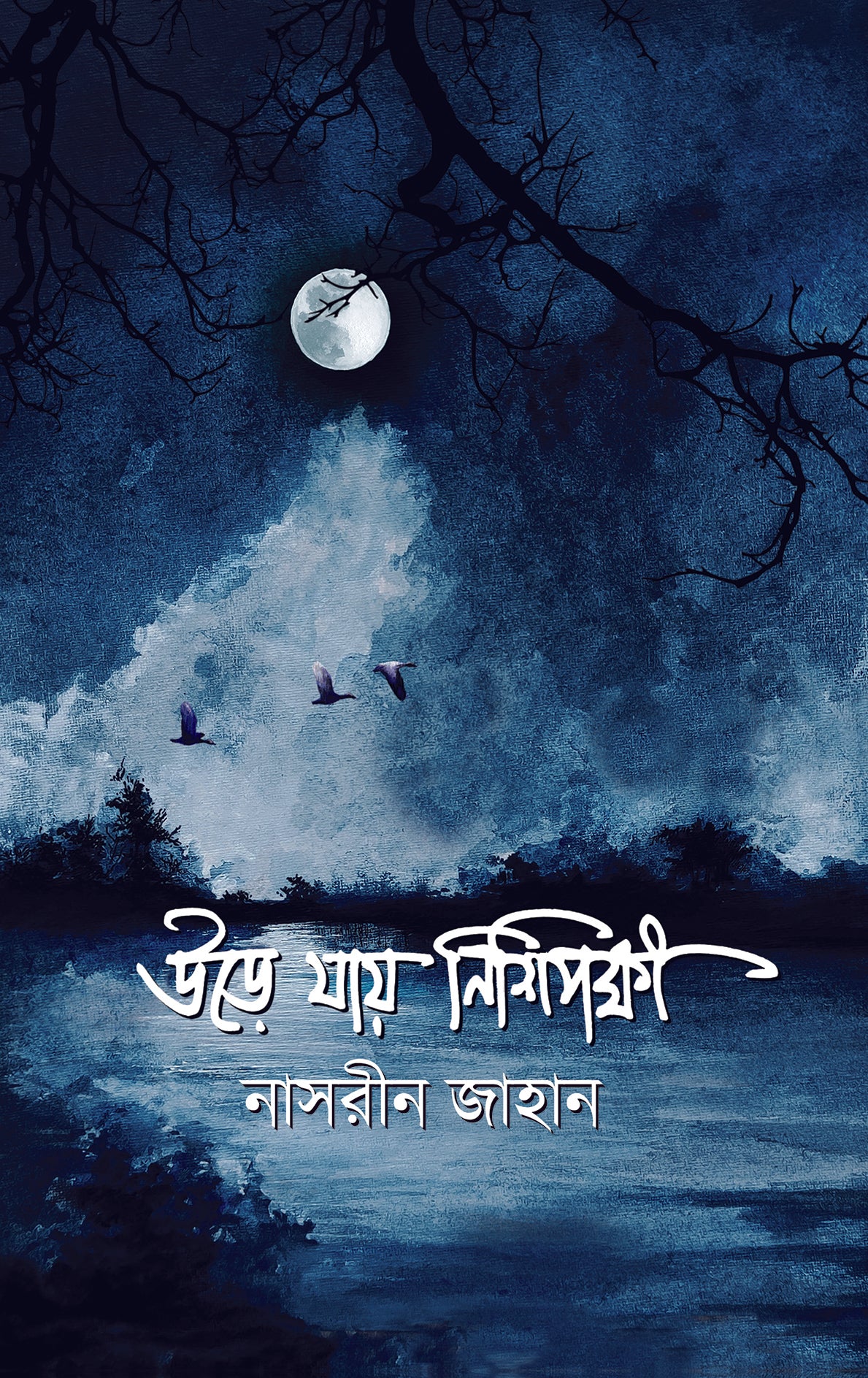 উড়ে যায় নিশিপক্ষী