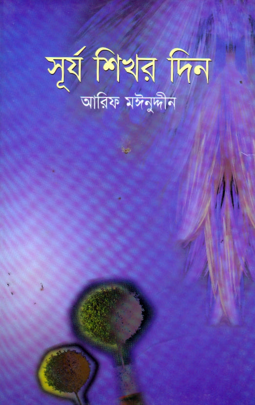 সূর্য শিখর দিন